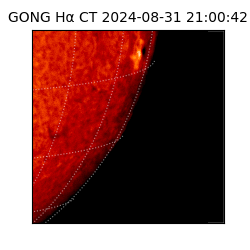 gong - 2024-08-31T21:00:42