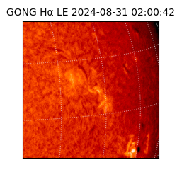 gong - 2024-08-31T02:00:42