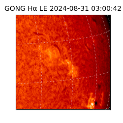 gong - 2024-08-31T03:00:42