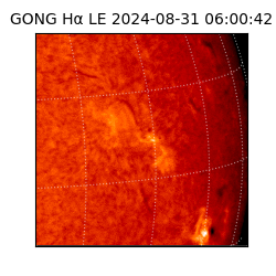 gong - 2024-08-31T06:00:42