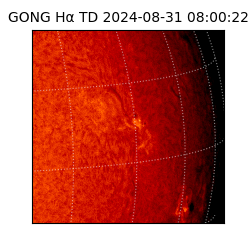 gong - 2024-08-31T08:00:22