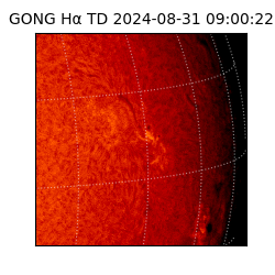 gong - 2024-08-31T09:00:22