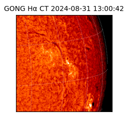 gong - 2024-08-31T13:00:42