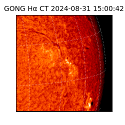 gong - 2024-08-31T15:00:42