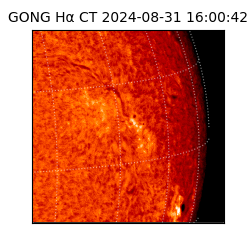 gong - 2024-08-31T16:00:42