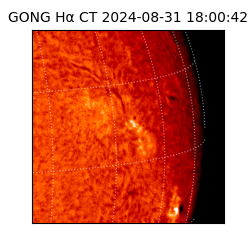 gong - 2024-08-31T18:00:42