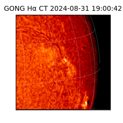 gong - 2024-08-31T19:00:42