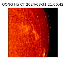 gong - 2024-08-31T21:00:42