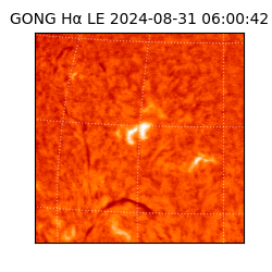 gong - 2024-08-31T06:00:42