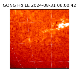 gong - 2024-08-31T06:00:42