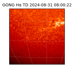 gong - 2024-08-31T08:00:22