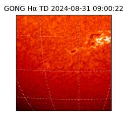 gong - 2024-08-31T09:00:22