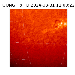 gong - 2024-08-31T11:00:22