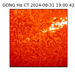 gong - 2024-08-31T19:00:42