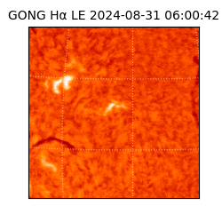 gong - 2024-08-31T06:00:42