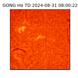 gong - 2024-08-31T08:00:22