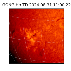 gong - 2024-08-31T11:00:22