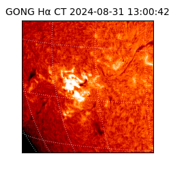 gong - 2024-08-31T13:00:42