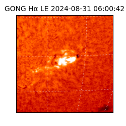 gong - 2024-08-31T06:00:42