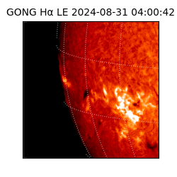 gong - 2024-08-31T04:00:42