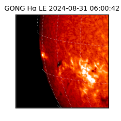 gong - 2024-08-31T06:00:42