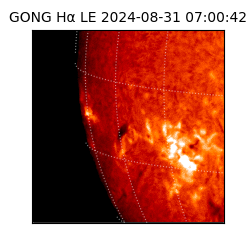 gong - 2024-08-31T07:00:42