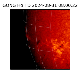 gong - 2024-08-31T08:00:22
