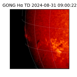 gong - 2024-08-31T09:00:22