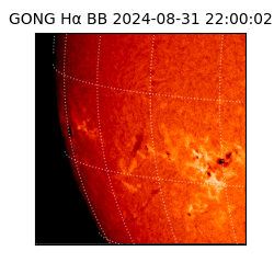 gong - 2024-08-31T22:00:02