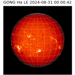 gong - 2024-08-31T00:00:42