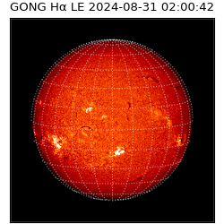 gong - 2024-08-31T02:00:42