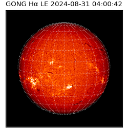 gong - 2024-08-31T04:00:42