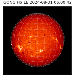 gong - 2024-08-31T06:00:42