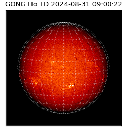 gong - 2024-08-31T09:00:22