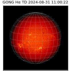 gong - 2024-08-31T11:00:22