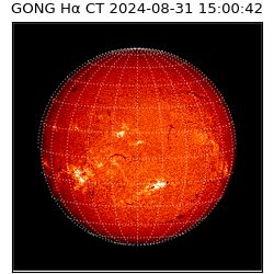 gong - 2024-08-31T15:00:42