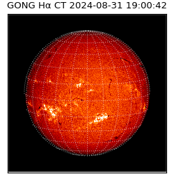 gong - 2024-08-31T19:00:42