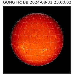 gong - 2024-08-31T23:00:02