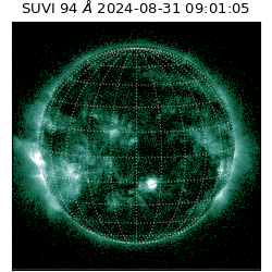 suvi - 2024-08-31T09:01:05.390000