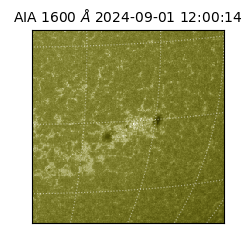 saia - 2024-09-01T12:00:14.125000