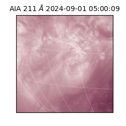 saia - 2024-09-01T05:00:09.630000