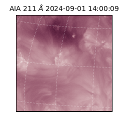 saia - 2024-09-01T14:00:09.616000