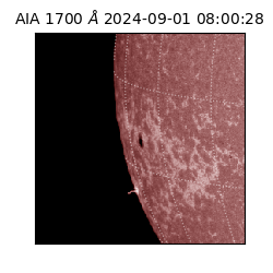 saia - 2024-09-01T08:00:28.717000