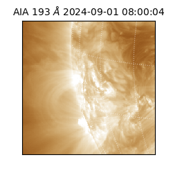 saia - 2024-09-01T08:00:04.843000