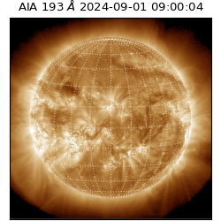 saia - 2024-09-01T09:00:04.843000