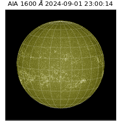 saia - 2024-09-01T23:00:14.126000