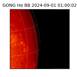 gong - 2024-09-01T01:00:02