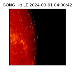 gong - 2024-09-01T04:00:42