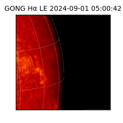 gong - 2024-09-01T05:00:42