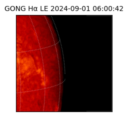 gong - 2024-09-01T06:00:42